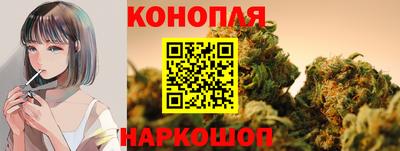 стаф Краснознаменск