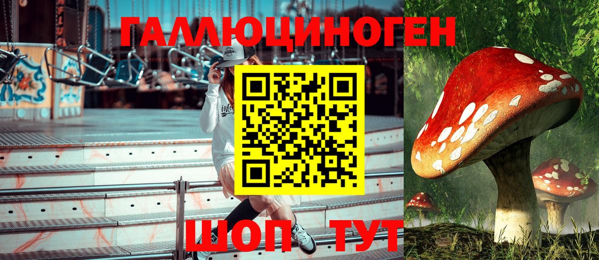 Галлюциногенные грибы мицелий Дубна